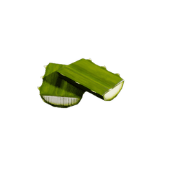 Agave