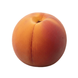 Apricot