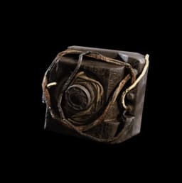 Damaged Tick Pod