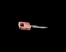 Flushing Terminal Key