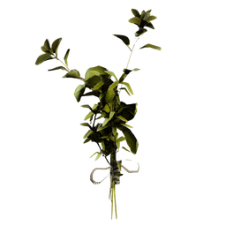 Great Mullein