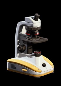 Microscope