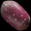 Prickly Pear