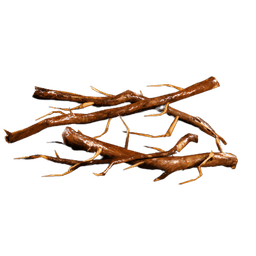 Roots