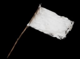 White Flag Blueprint