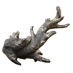 Fossilized Lightning