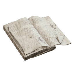 Torn Book