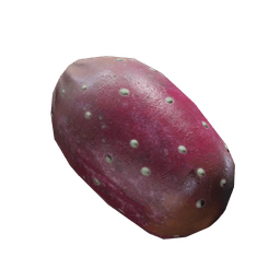 Prickly Pear