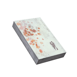 Library Book