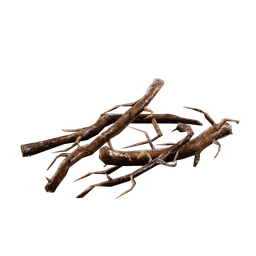 Roots