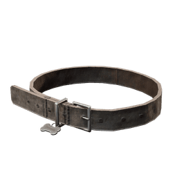 Dog Collar