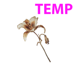 Husk Lily