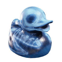 MRI Duck