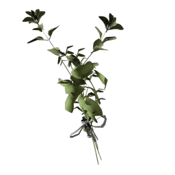 Great Mullein