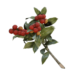 Candleberries