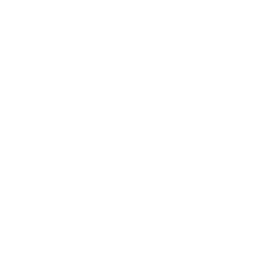 Embedded Blast Engineering