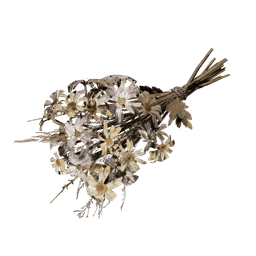 Dead Flowers